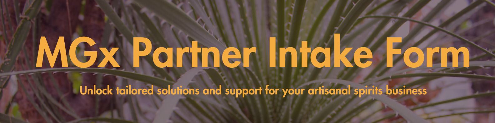 MGx Partner Intake Form